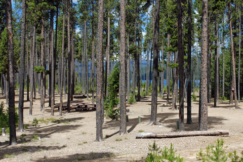 Contorta Point Group Campground