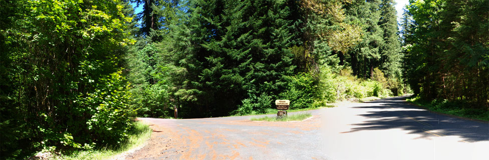 Kiahanie Campground, Willamette National Forest, Oregon