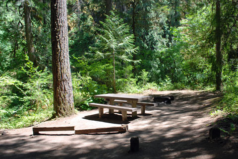 Salmon Creek Falls Campground