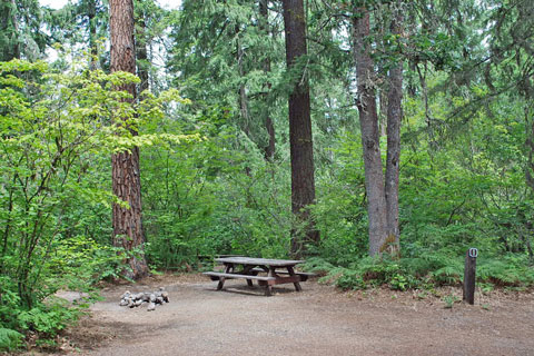 Toll Bridge Park Campground, Hood River County, Oregon