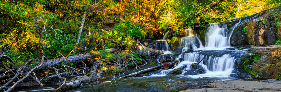 Alsea Falls, Benton County, Oregon