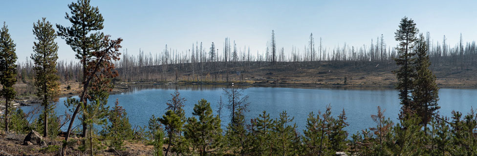 Campbell Lake, Fremont-Winema  National Forest, Oregon