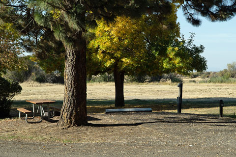 Goose Lake SRA Campground, Oregon