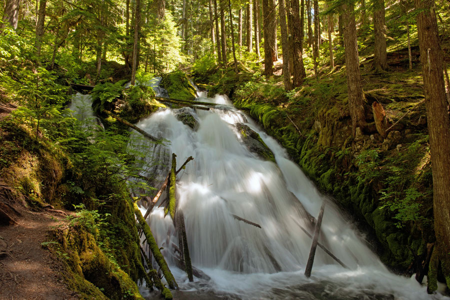 Little Zigzag Falls, Mount Hood National Forest, Oregon