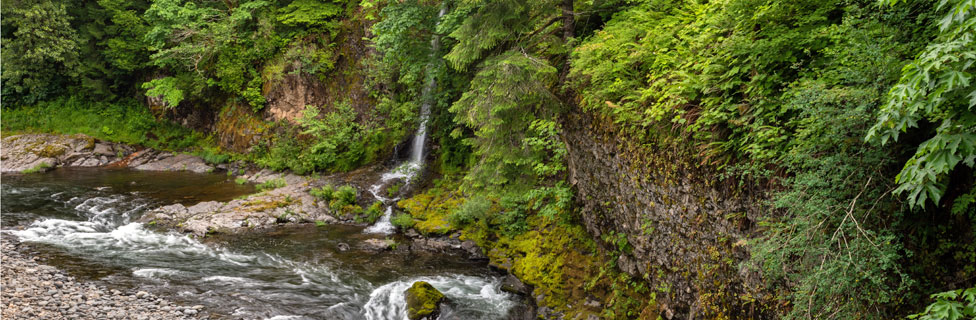 Wilson River, Tillamook State Forest, Oregon