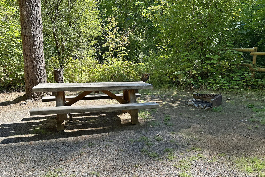 Gales Creek campground, Oregon