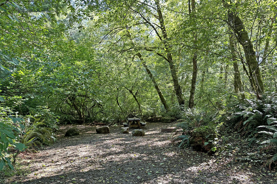 Jones Creek campground, Tillamook Stae Forest, Oregon