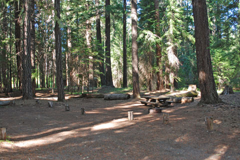 Abbott Creek Campground, Oregon