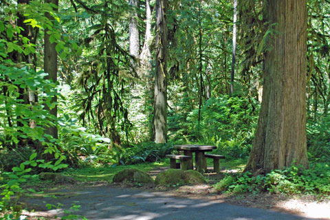 Black Canyon Campground, Oregon