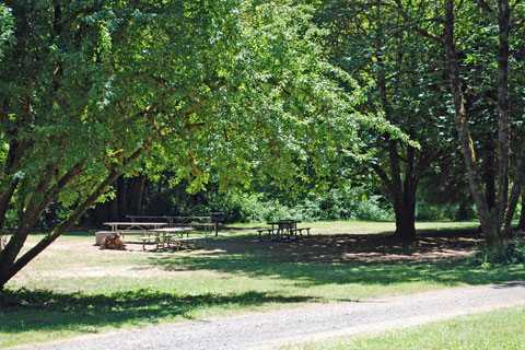 Fisherman's Point Group Campground, Fall Creek State Recreation Area, Oregon