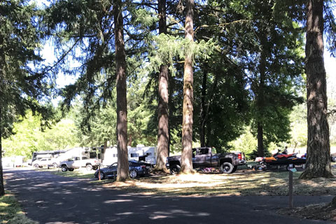 Pine Meadows Campground, Cottage Grove Lake, Oregon