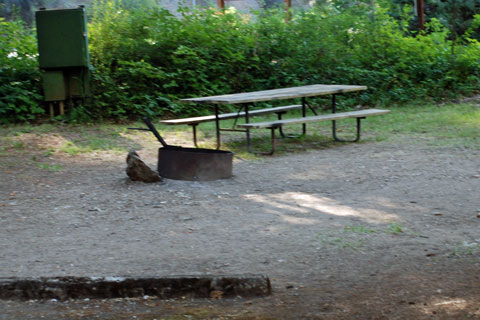 Rogue Elk County Park Campground