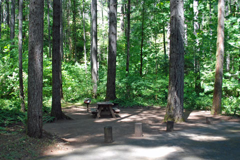 Bogus Creek Campground, North Umpqua River, Oregon