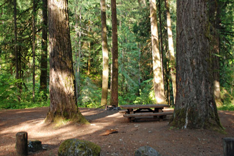 Coolwater Campround, Umpqua National Forest, Oregon