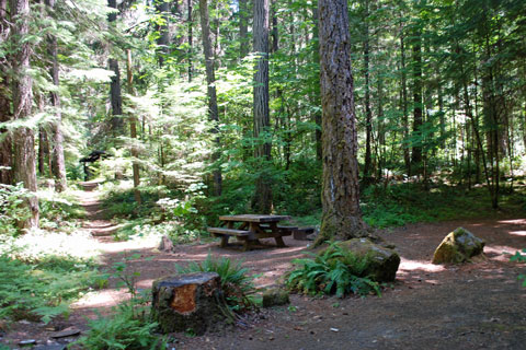 Horseshoe Bend Campground, North Umpqua River, Oregon