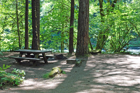 Island Campground, North Umpqua River, Oregon