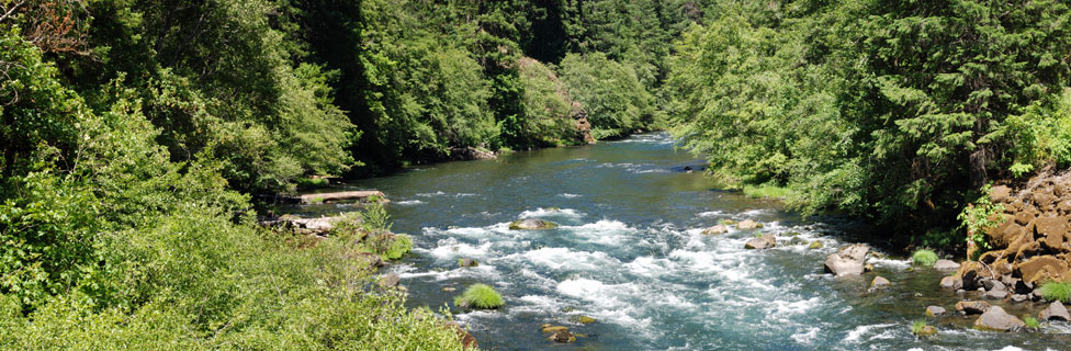 North Umpqua River, Umpqua National Forest, Oregon