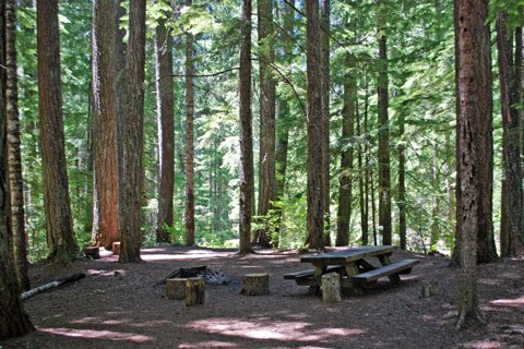 Whitehorse Falls Campground, Umpqua National Forest, Oregon