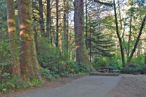 Beverly Beach State Park Campground, Oregon