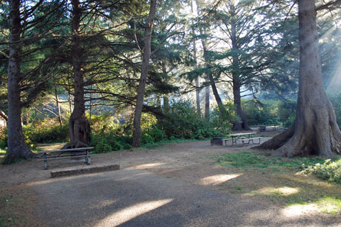 Beverly Beach State Park Campground Group Campsite, Oregon