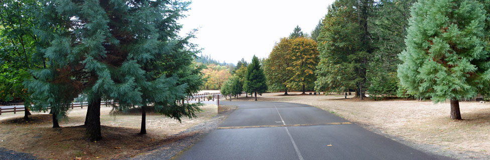 Lone Pine Group Campground, rock Creek, Oregon