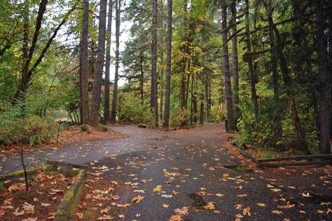 Millpond Campground, Rock Creek, Oregon