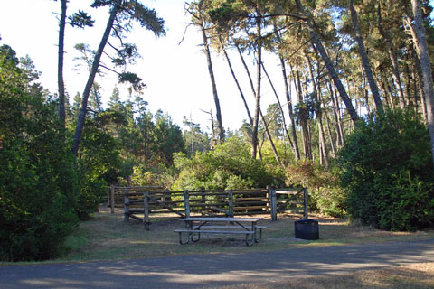 Wild Mare Horse Campground, Oregon Dunes