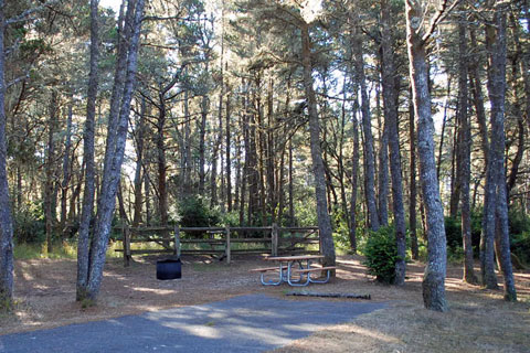 Wild Mare Horse Campground, Oregon Dunes