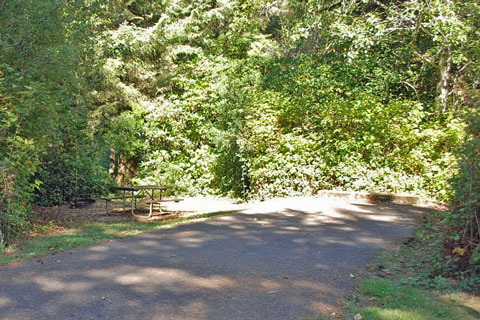 Alder Dune Campground, Siuslaw National Forest, Oregon