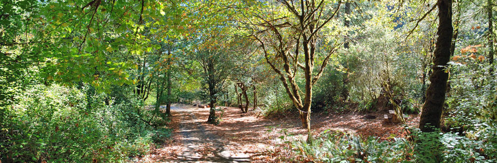 Sixes River Campground, Curry County, Oregon