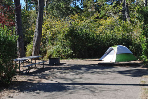 Bullards Beach State Park Campground