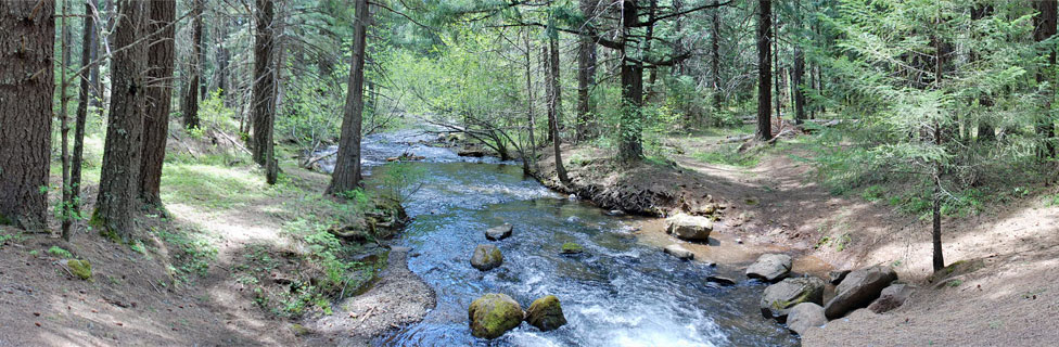 Fourbit Ford, Rogue River-Siskiyou National Forest, Oregon