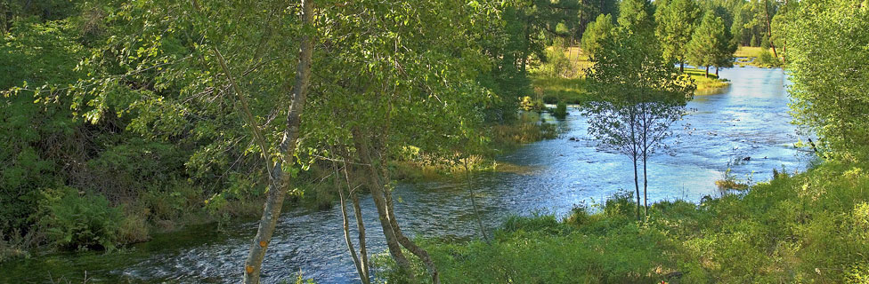 Metolius River, Deschsutes National Forest, Oregon