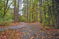 Millpnd Campground, Oregon