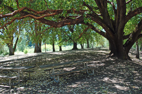 Valley of the Rogue State Park group  campground , Oregon