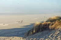 South Beach State Park, Oregon