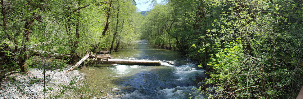 Grayback Campground,Rogue River-Siskiyou National Forest, Oregon