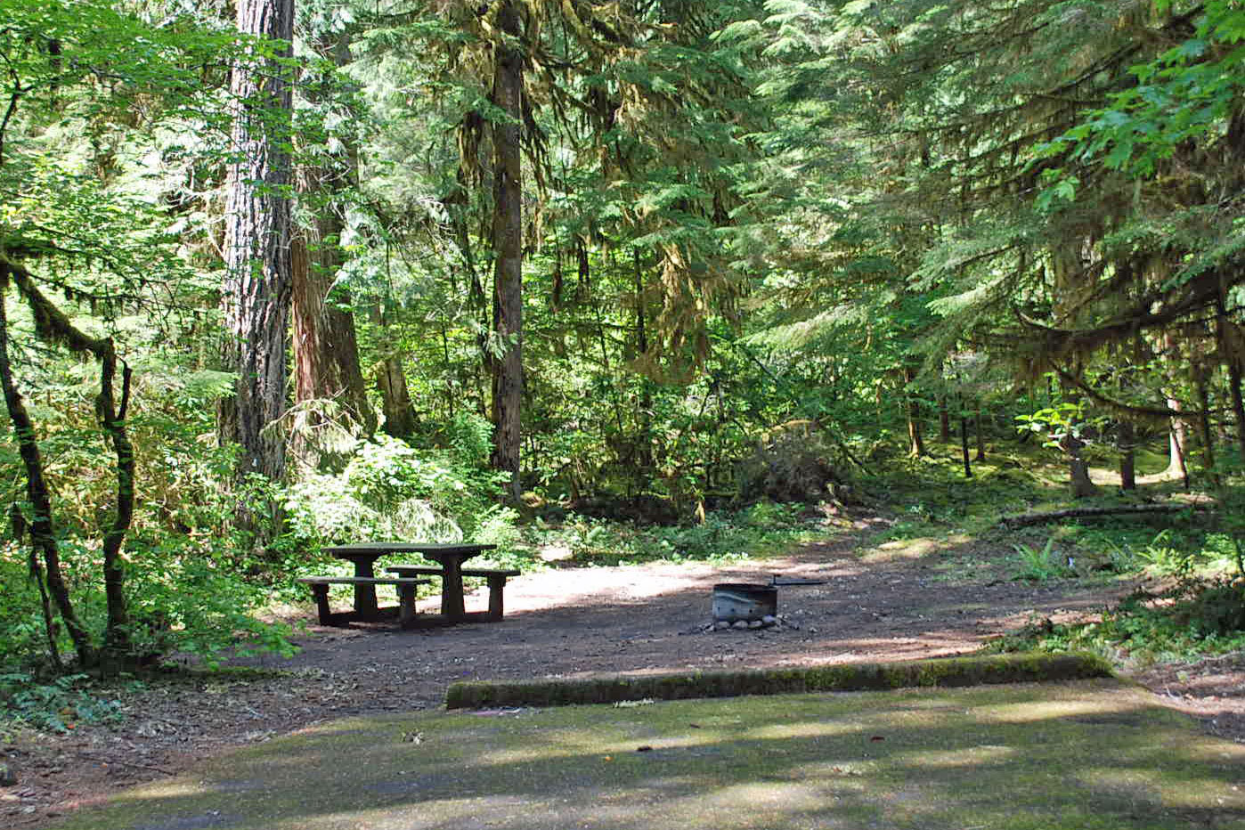 Humbug Campground, Willamette National Forest, Oregon