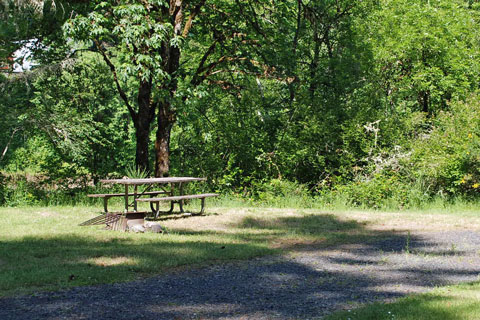 John Neal Memorial Park Campground, Linn County, Oregon