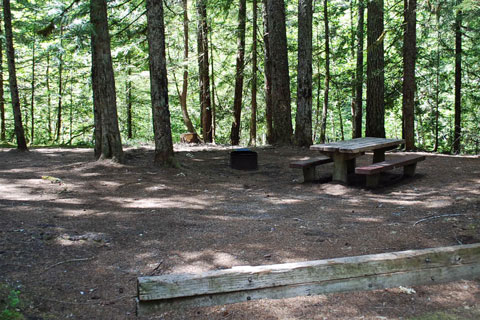 Riverside Campground, Willamette National Forest, Oregon