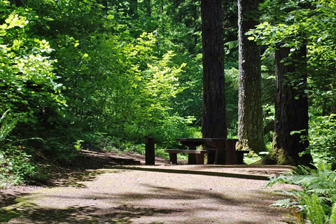 Southshore Campground, Detroit Lake, Willamette National Forest, Oregon