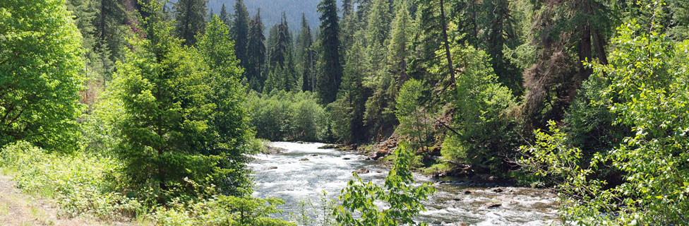 South Santiam River near Whispering Falls, Willamette National Forest, Oregon