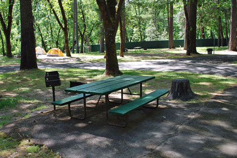 Whitehorse County Park Campground, Josephine County, Oregob