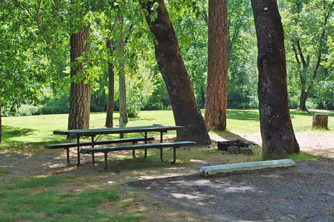 Whitehorse County Park Campground, Josephine County, Oregob