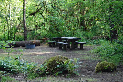 Delta Campground, Willamette National Forest, Oregon