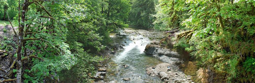 South Santiam River, Willamette National Forest, Oregon