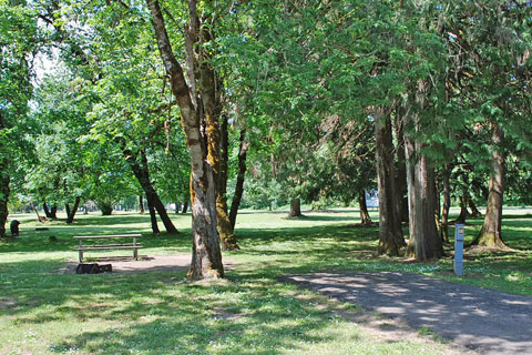 Waterloo County Park Campground, Linn County, Oregon