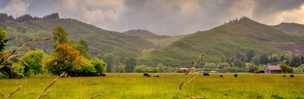 Coquille River Valley,  Oregon