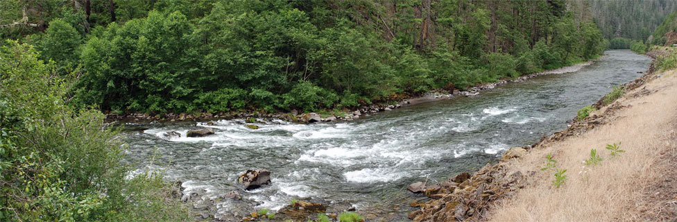 Clackamas River, Mt. Hood National Forest,  Oregon