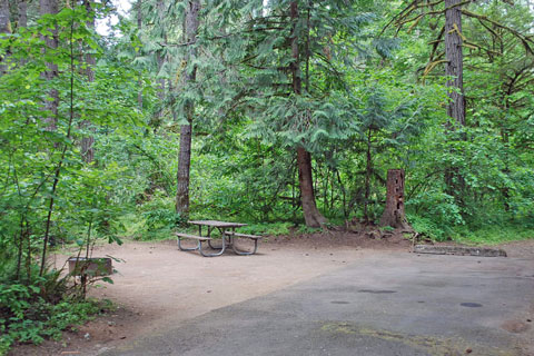 Milo McIver State Park Campground, Clackamas County, Oregon